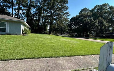 Photo of Karen G.'s yard after getting lawn care in Kaplan, LA