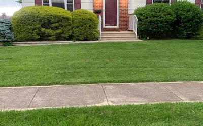 Photo of Angela J.'s yard after getting lawn care in Catonsville, MD
