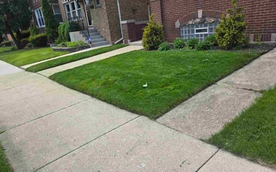 Photo of Brenda R.'s yard after getting lawn care in Ludlow, MA