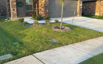 Photo of Matt W.'s yard after getting lawn care in Long Beach, CA