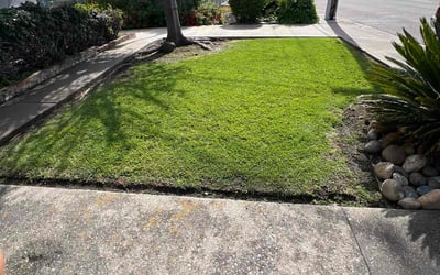 Photo of Valerie d.'s yard after getting lawn care in Oakley, CA