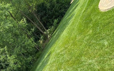 Photo of Terry L.'s yard after getting lawn care in Montgomery, TX