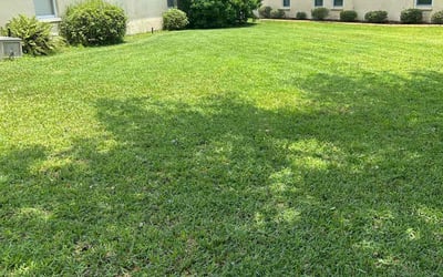 Photo of Dan S.'s yard after getting lawn care in Cortlandt Manor, NY