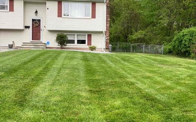 Photo of Patricia S.'s yard after getting lawn care in Rocky Hill, CT