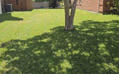 Photo of Macy M.'s yard after getting lawn care in Lewisville, TX