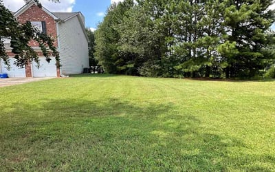 Photo of Mike M.'s yard after getting lawn care in Ellenwood, GA