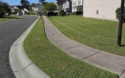 Photo of Victoria W.'s yard after getting lawn care in Central, SC