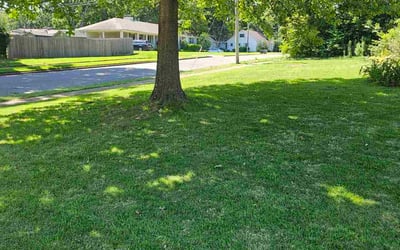 Photo of Hal P.'s yard after getting lawn care in Cliffside Park, NJ