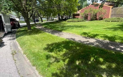 Photo of Bailey M.'s yard after getting lawn care in Hickory Hills, IL