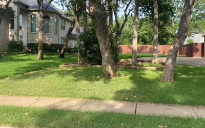 Photo of Anjana N.'s yard after getting lawn care in Flower Mound, TX