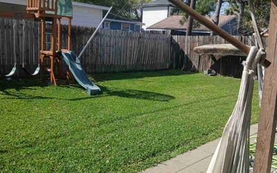 Photo of Shae C.'s yard after getting lawn care in Freeport, TX