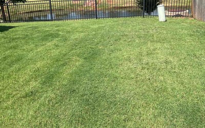 Photo of Addie H.'s yard after getting lawn care in Bethany, OK