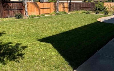 Photo of Terrence H.'s yard after getting lawn care in Elk Grove, CA