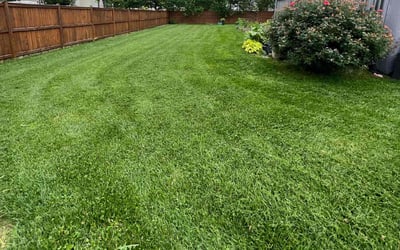 Photo of Savannah P.'s yard after getting lawn care in Fredericksburg, VA