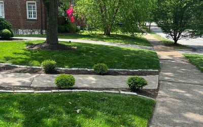 Photo of Rastin A.'s yard after getting lawn care in Godfrey, IL
