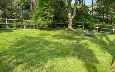 Photo of Shahan K.'s yard after getting lawn care in Clarks Summit, PA