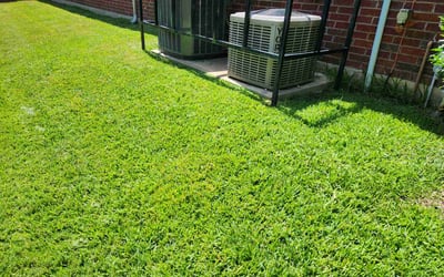 Photo of Jeffrey C.'s yard after getting lawn care in Abilene, TX