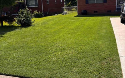 Photo of Vanessa K.'s yard after getting lawn care in DeSoto, TX
