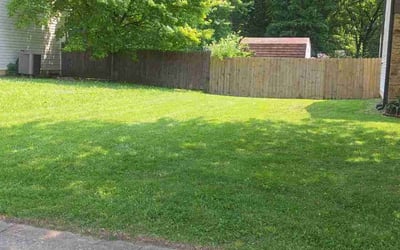 Photo of Thomas R.'s yard after getting lawn care in York, PA