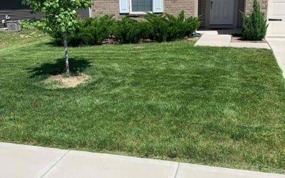 Photo of Craig S.'s yard after getting lawn care in Elwood, IN