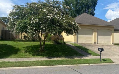 Photo of Adam D.'s yard after getting lawn care in Monroe, LA