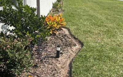Photo of Brandon P.'s yard after getting lawn care in Ocala, FL