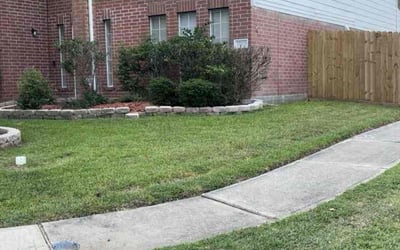 Photo of Darius C.'s yard after getting lawn care in Orlando, FL