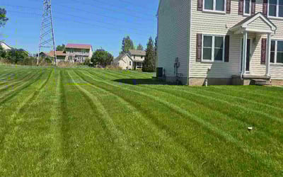 Photo of Amy G.'s yard after getting lawn care in York, PA