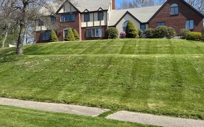 Photo of Robert B.'s yard after getting lawn care in Chelsea, MA