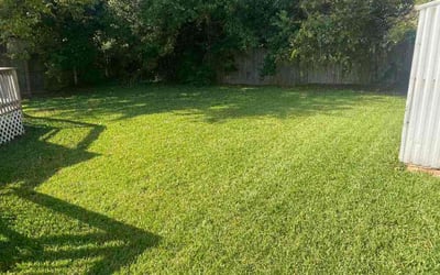 Photo of Deana G.'s yard after getting lawn care in Hampton, VA