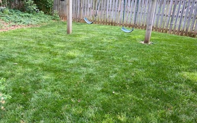 Photo of Stephen H.'s yard after getting lawn care in Supply, NC