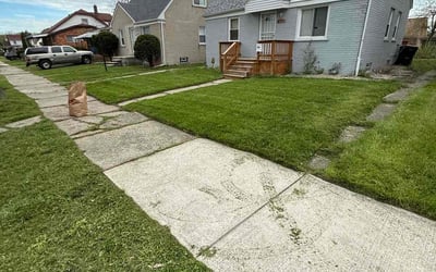 Photo of Michael B.'s yard after getting lawn care in Arlington, VA