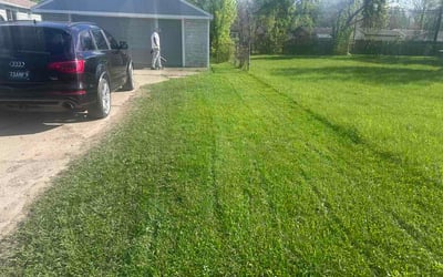 Photo of Tj C.'s yard after getting lawn care in Latham, NY