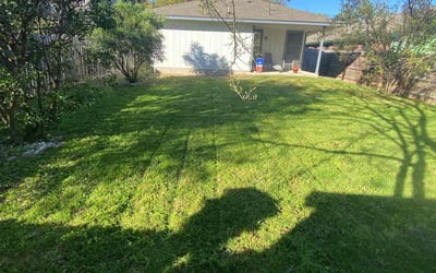 Photo of Rich J.'s yard after getting lawn care in Denison, TX