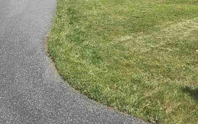 Photo of Donna K.'s yard after getting lawn care in Holden, MA