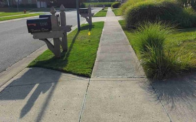 Photo of Richard S.'s yard after getting lawn care in Beckley, WV