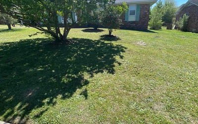Photo of Leo P.'s yard after getting lawn care in Winnsboro, SC