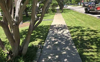Photo of Ashley j.'s yard after getting lawn care in Walnut, CA