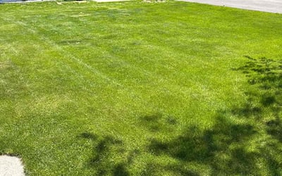 Photo of Chris R.'s yard after getting lawn care in San Antonio, TX