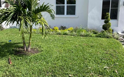 Photo of Daniel C.'s yard after getting lawn care in Murrieta, CA