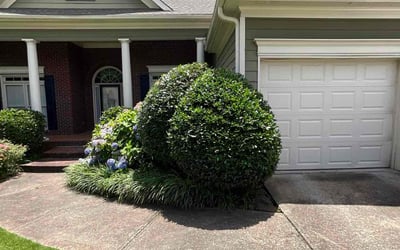 Photo of Michelly F.'s yard after getting lawn care in Waxhaw, NC
