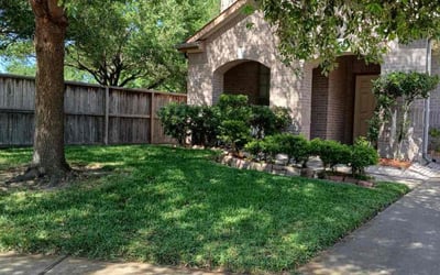 Photo of Kelly W.'s yard after getting lawn care in Katy, TX