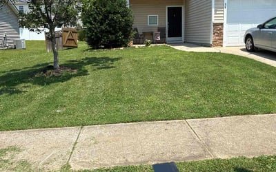 Photo of Deborah L.'s yard after getting lawn care in Shreveport, LA