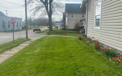 Photo of Lauren B.'s yard after getting lawn care in Clinton, MA