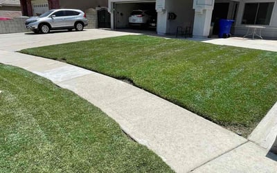 Photo of Ovie S.'s yard after getting lawn care in Hazlet, NJ