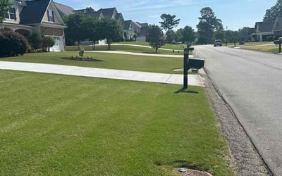Photo of Jarrett K.'s yard after getting lawn care in Frankfort, IL