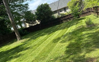 Photo of Susan C.'s yard after getting lawn care in Bainbridge Island, WA