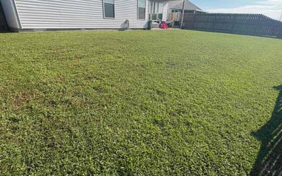 Photo of LaToya A.'s yard after getting lawn care in Slidell, LA