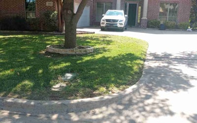 Photo of Catherine M.'s yard after getting lawn care in East Brunswick, NJ