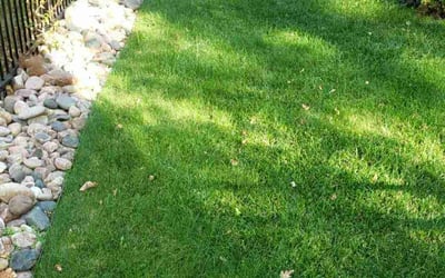 Photo of Hyun Chu C.'s yard after getting lawn care in Denver, CO